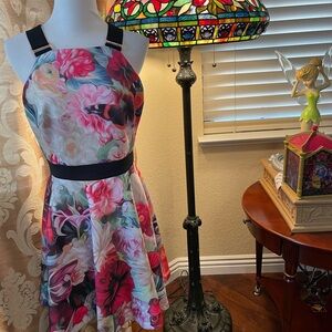 Ted Baker Skater Dress Sz 3